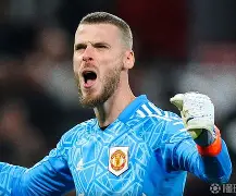 爱游戏体育app-阿扎伦卡有几个大满贯